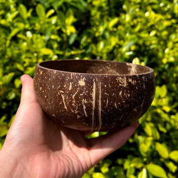 Natural Coconut Shell Bowls