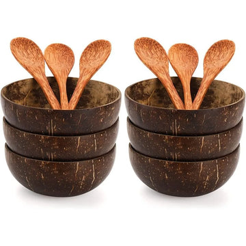 Natural Coconut Shell Bowls with Spoon